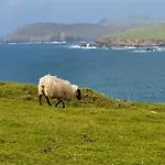 An Cnocan Sneem