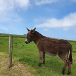 Feriehus An Cnocan *