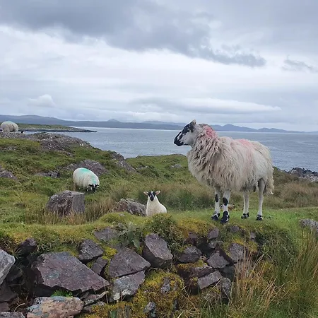 An Cnocan Sneem
